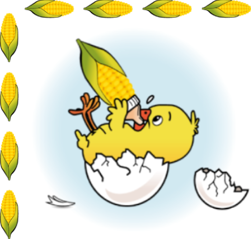 LES PETITS PICS GRAINS